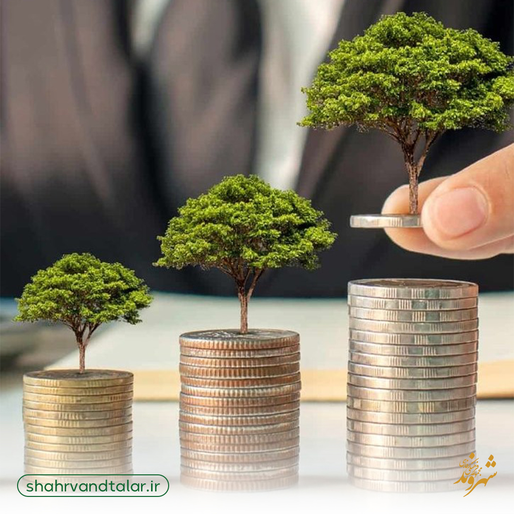 سرویس طلا، سرمایه گذاری